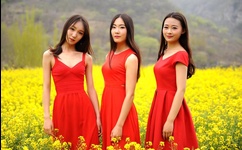 玛雅论坛亚洲电影